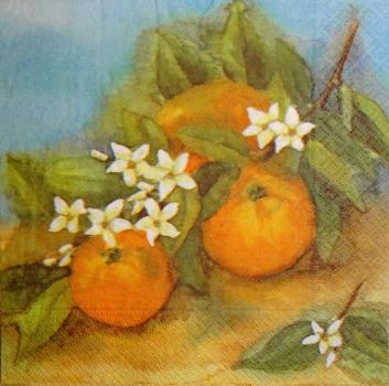 147 Lemons,  Oranges - 3-ply